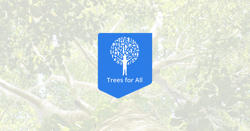trees 4 all